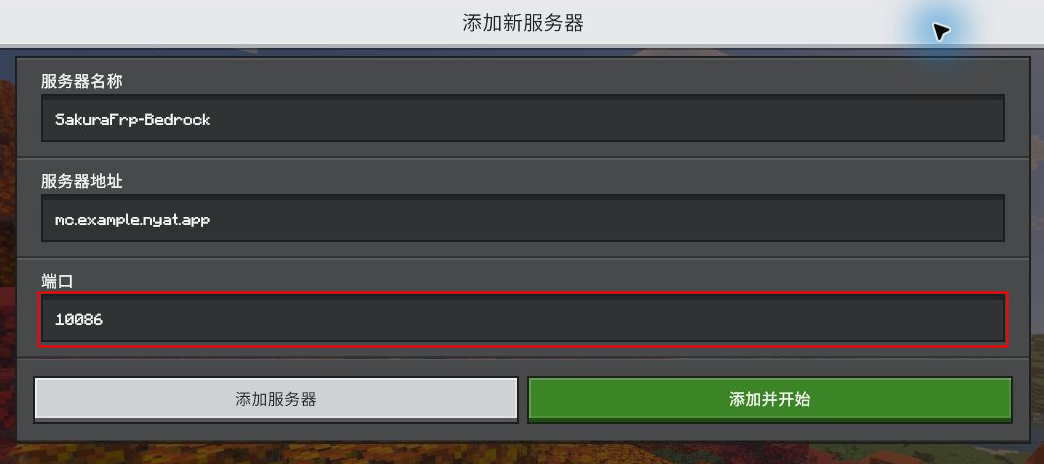 添加新服务器时分别填写名称、域名和 TCP 远程端口